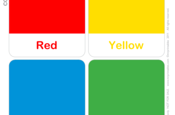 Color Flash Cards