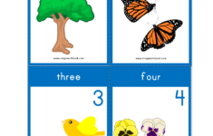 Number Flashcards Number Flashcards Printable FREE 1 To 10 1 To