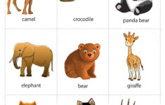 Pin En Animals Flashcards