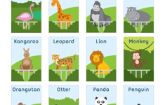 Printable Zoo Animal Flash Cards
