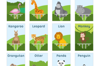 Flash Cards Printable Zoo Animals