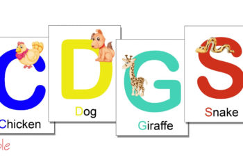 Flash Cards Printable PDF