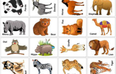 Wild Animal Flash Cards Printable Animal Flashcards Animal Pictures