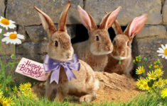 Free &amp; Premium Digital Happy Birthday Ecards | Blue Mountain with regard to Blue Mountain Printable Easter Cards