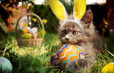 Hop This Town' Easter" | Ecard | Blue Mountain with regard to Blue Mountain Printable Easter Cards